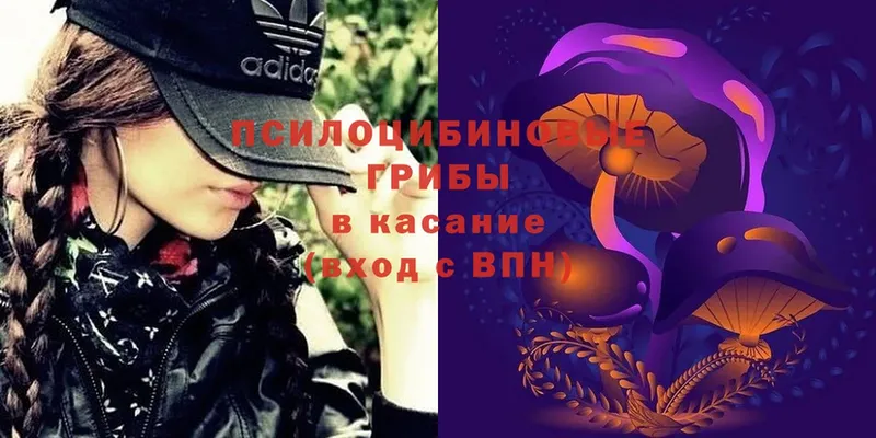 Псилоцибиновые грибы Magic Shrooms  Багратионовск 