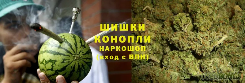 мега ONION  купить  сайты  Багратионовск  Шишки марихуана LSD WEED 